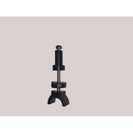 Spingi albero