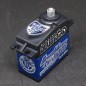 Servo BG-0731SWP  SAIL WINCH